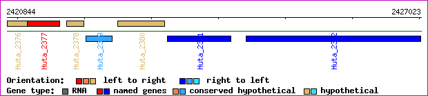 gene map
