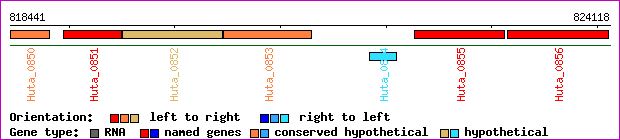gene map