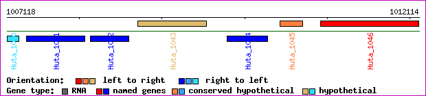 gene map