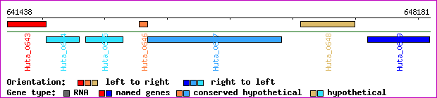 gene map