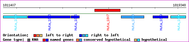 gene map