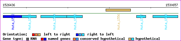 gene map