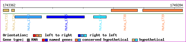 gene map