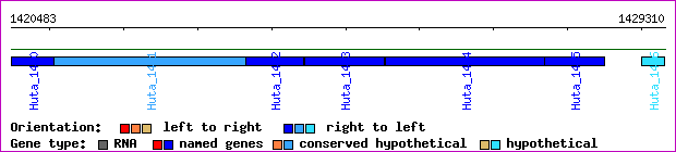 gene map