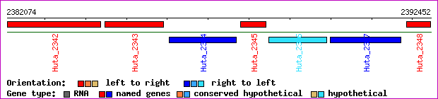 gene map