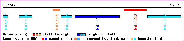 gene map
