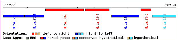 gene map