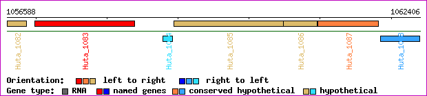 gene map