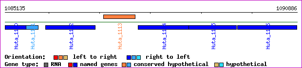 gene map