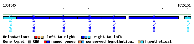 gene map