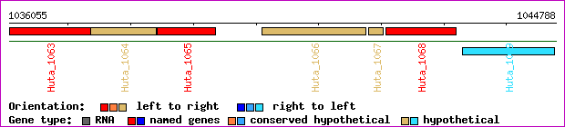 gene map
