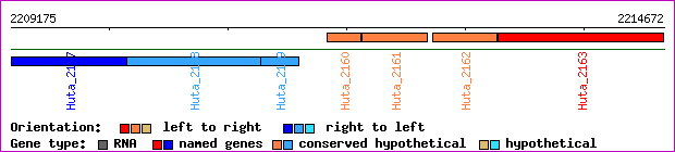 gene map