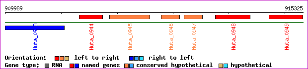 gene map