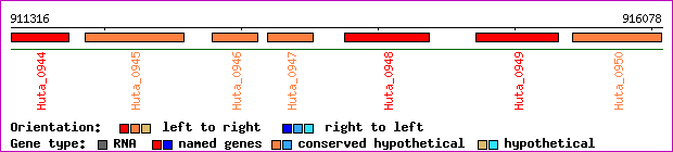 gene map