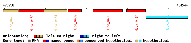 gene map