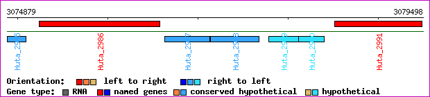 gene map