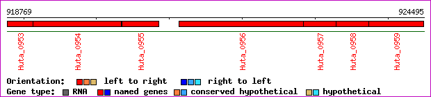 gene map