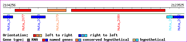 gene map