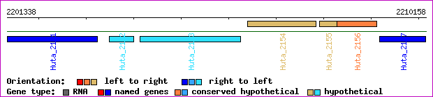 gene map