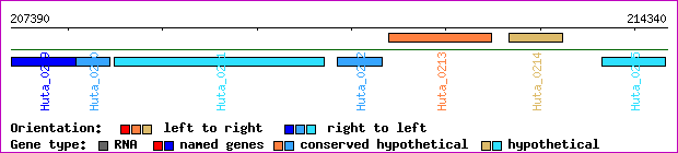 gene map