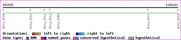 gene map