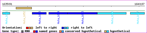 gene map
