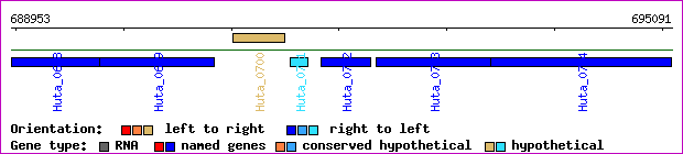 gene map