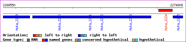 gene map