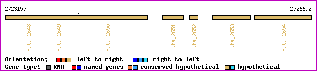 gene map