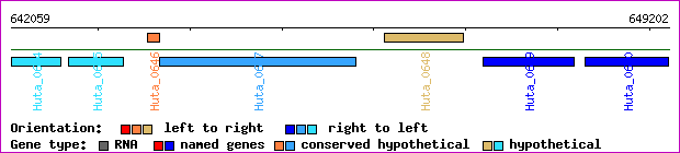 gene map