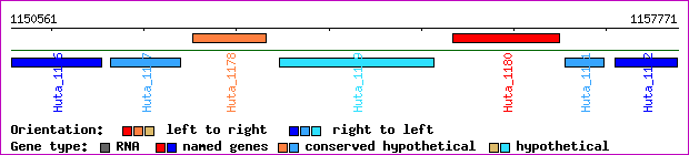 gene map