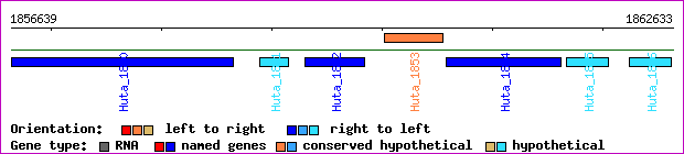 gene map