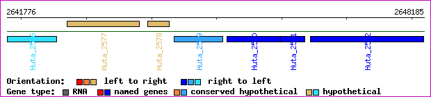 gene map