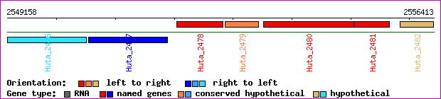 gene map