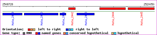 gene map