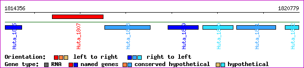gene map