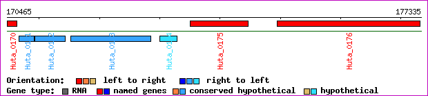gene map