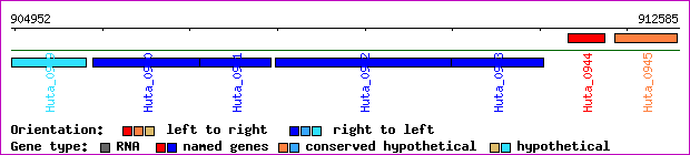 gene map