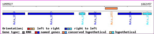 gene map