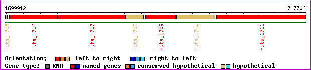 gene map