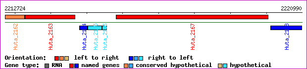 gene map