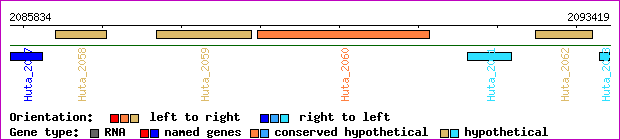 gene map