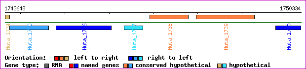 gene map