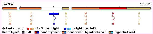 gene map