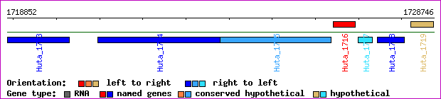 gene map
