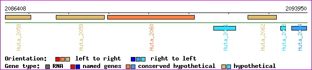 gene map