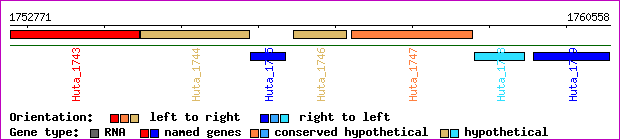 gene map