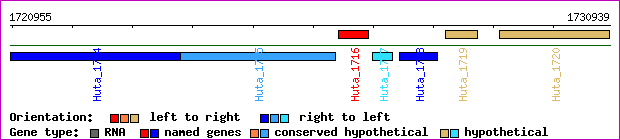 gene map