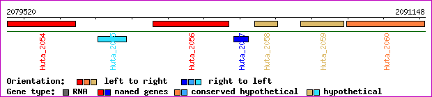 gene map
