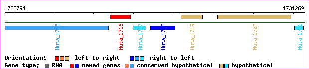 gene map